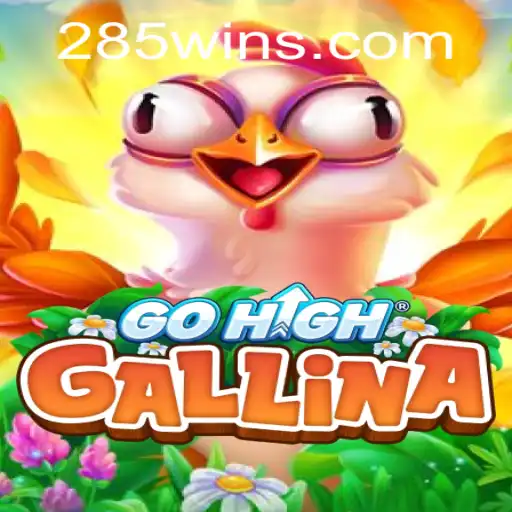 Embark on an Epic Adventure with GoHighGallina